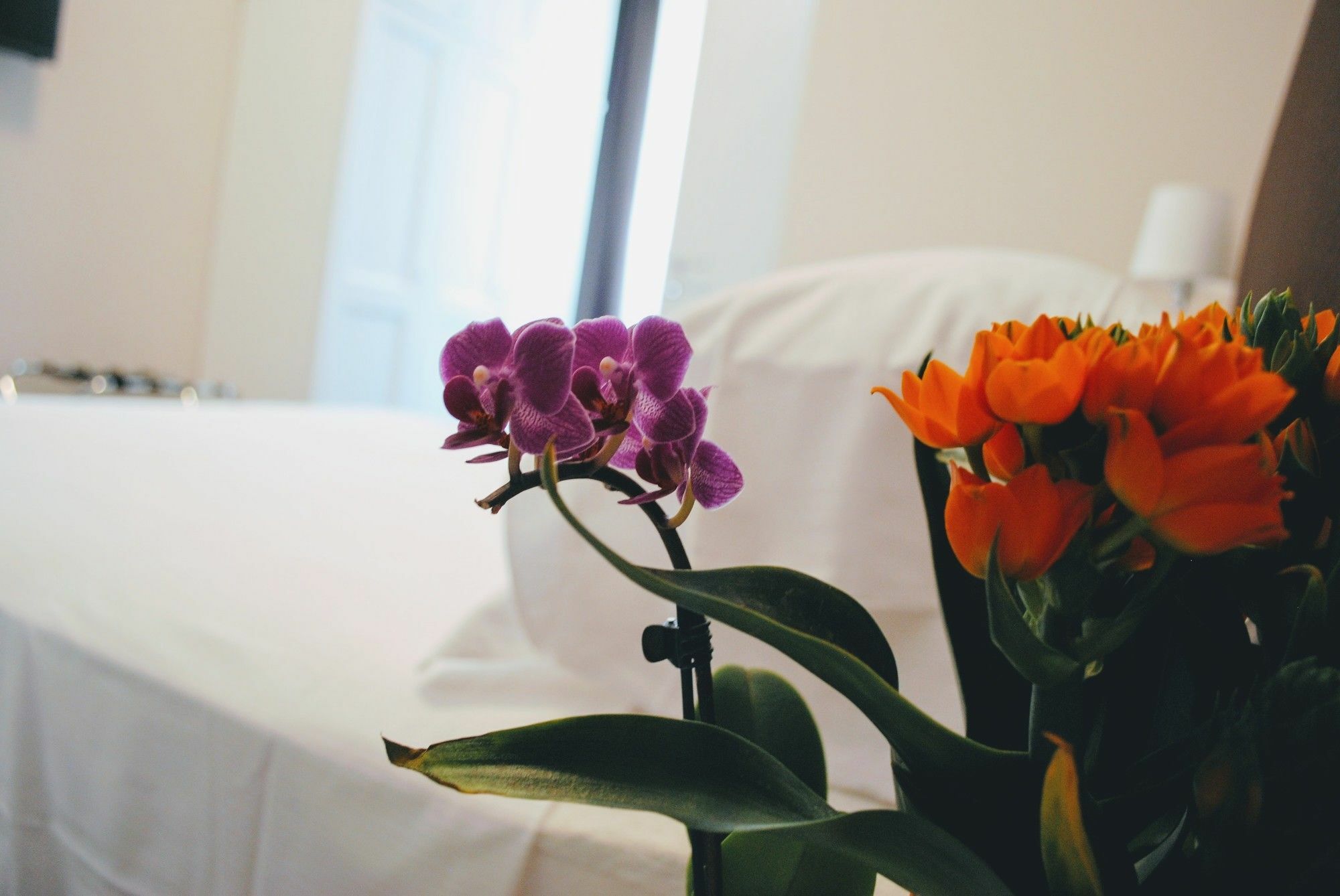 Guest House Cavour 278 ローマ エクステリア 写真